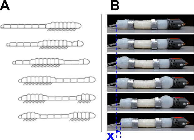 Figure 4 for Locomotion and Obstacle Avoidance of a Worm-like Soft Robot