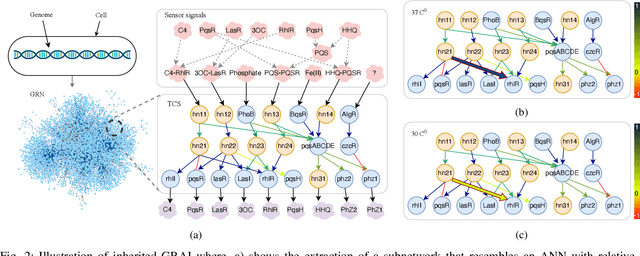 Figure 2 for Realizing Molecular Machine Learning through Communications for Biological AI: Future Directions and Challenges