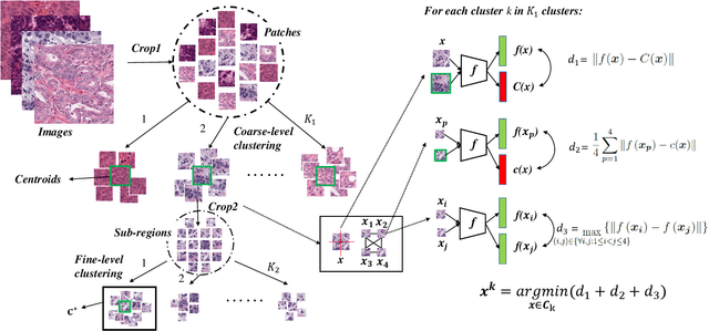 Figure 3 for Which Pixel to Annotate: a Label-Efficient Nuclei Segmentation Framework