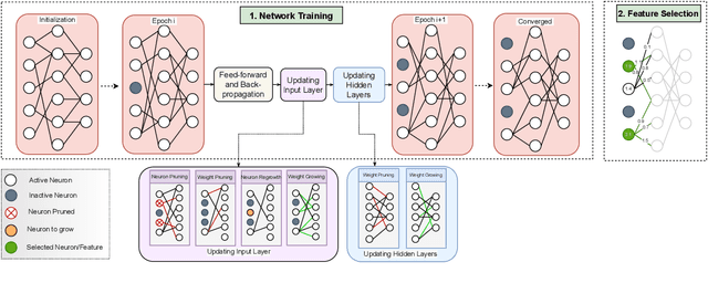 Figure 1 for Supervised Feature Selection with Neuron Evolution in Sparse Neural Networks