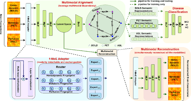 Figure 1 for Revolutionizing Disease Diagnosis with simultaneous functional PET/MR and Deeply Integrated Brain Metabolic, Hemodynamic, and Perfusion Networks