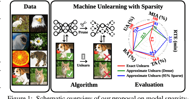 Figure 1 for Model Sparsification Can Simplify Machine Unlearning