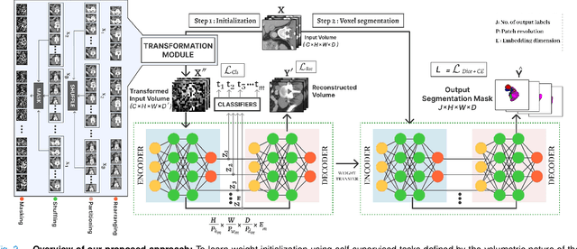 Figure 2 for Learnable Weight Initialization for Volumetric Medical Image Segmentation