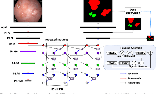 Figure 1 for RaBiT: An Efficient Transformer using Bidirectional Feature Pyramid Network with Reverse Attention for Colon Polyp Segmentation