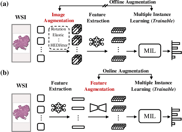 Figure 1 for AugDiff: Diffusion based Feature Augmentation for Multiple Instance Learning in Whole Slide Image