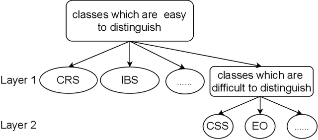 Figure 4 for Galaxy Image Classification using Hierarchical Data Learning with Weighted Sampling and Label Smoothing