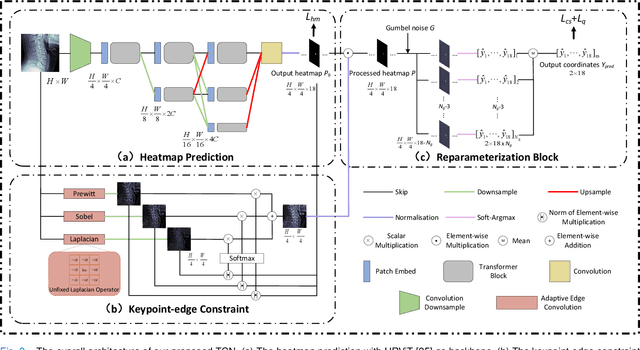 Figure 2 for Topology-inspired Cross-domain Network for Developmental Cervical Stenosis Quantification