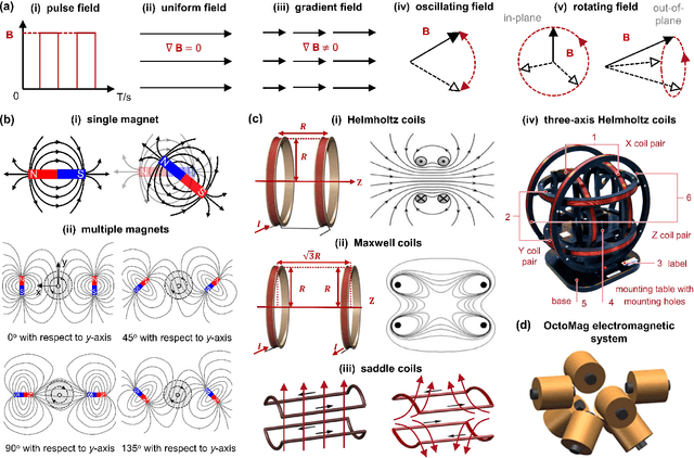 Figure 3 for Design, Actuation, and Functionalization of Untethered Soft Magnetic Robots with Life-Like Motions: A Review