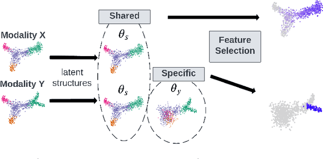 Figure 1 for Multi-modal Differentiable Unsupervised Feature Selection