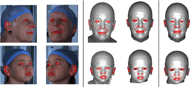 Figure 4 for Laplacian ICP for Progressive Registration of 3D Human Head Meshes