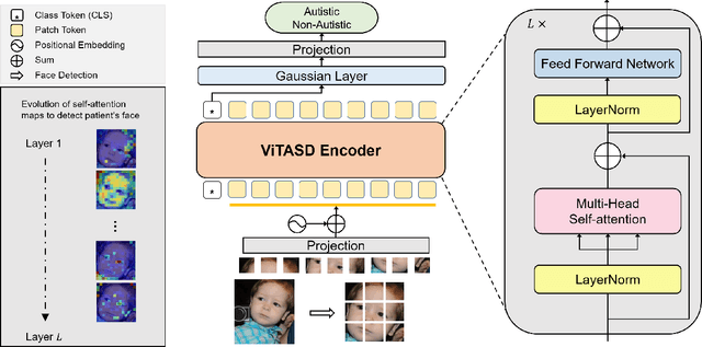 Figure 1 for ViTASD: Robust Vision Transformer Baselines for Autism Spectrum Disorder Facial Diagnosis