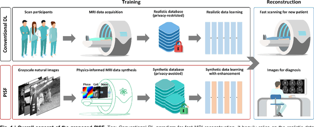 Figure 1 for One for Multiple: Physics-informed Synthetic Data Boosts Generalizable Deep Learning for Fast MRI Reconstruction