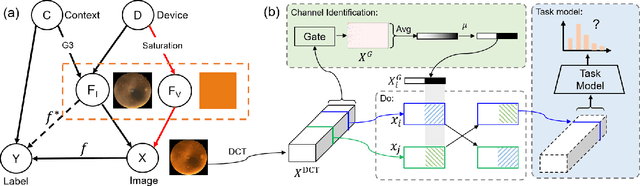 Figure 3 for CauDR: A Causality-inspired Domain Generalization Framework for Fundus-based Diabetic Retinopathy Grading