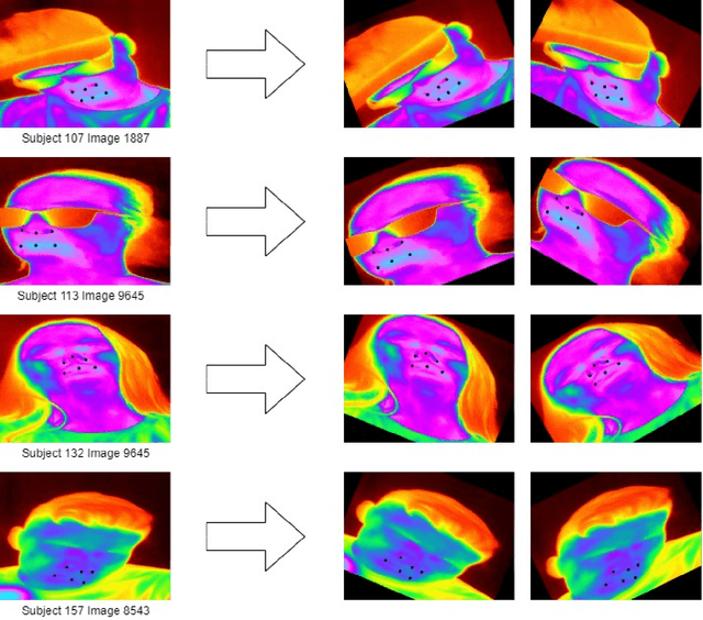 Figure 3 for The Heat is On: Thermal Facial Landmark Tracking