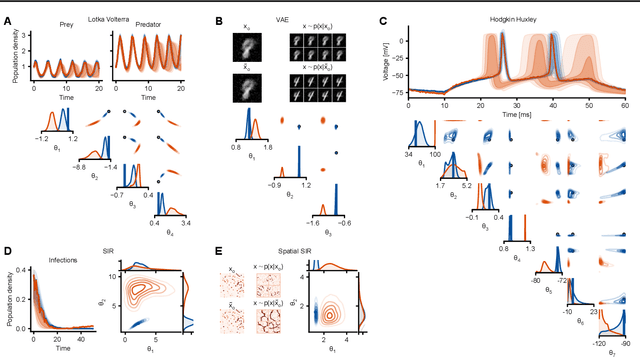 Figure 4 for Adversarial robustness of amortized Bayesian inference