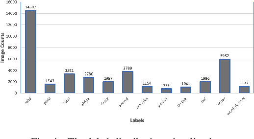 Figure 4 for Semantic Embedded Deep Neural Network: A Generic Approach to Boost Multi-Label Image Classification Performance