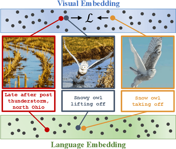 Figure 1 for Learning Visual Representations via Language-Guided Sampling