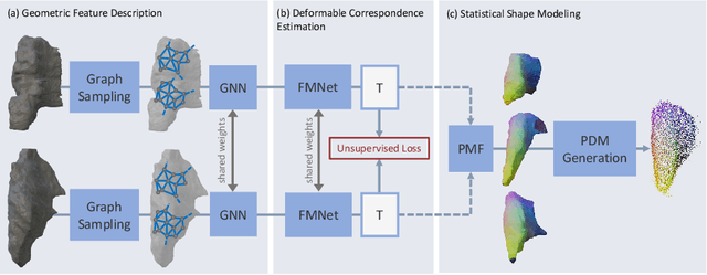 Figure 1 for S3M: Scalable Statistical Shape Modeling through Unsupervised Correspondences
