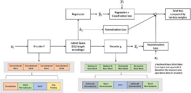 Figure 1 for A Comparison of Self-Supervised Pretraining Approaches for Predicting Disease Risk from Chest Radiograph Images