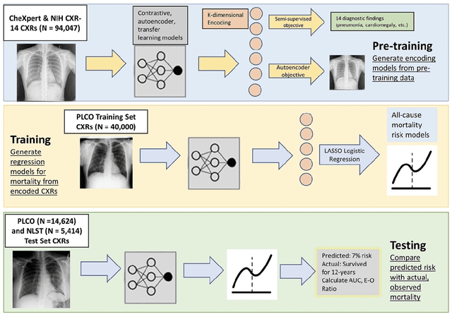 Figure 2 for A Comparison of Self-Supervised Pretraining Approaches for Predicting Disease Risk from Chest Radiograph Images