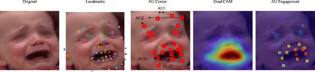 Figure 3 for AuE-IPA: An AU Engagement Based Infant Pain Assessment Method