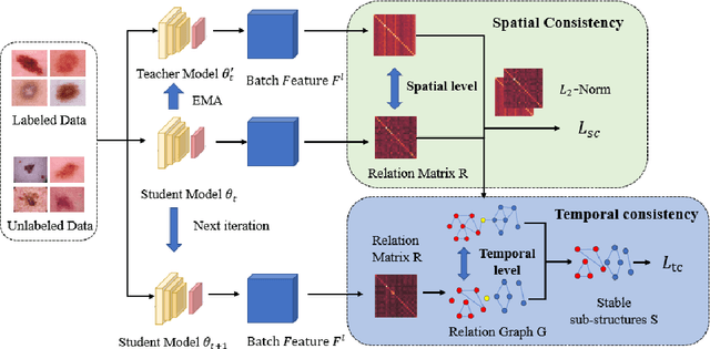 Figure 1 for Spatio-Temporal Structure Consistency for Semi-supervised Medical Image Classification