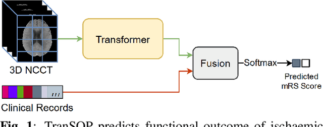 Figure 1 for TranSOP: Transformer-based Multimodal Classification for Stroke Treatment Outcome Prediction