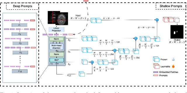 Figure 1 for Prompt-based Tuning of Transformer Models for Multi-Center Medical Image Segmentation