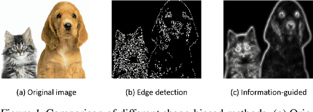 Figure 1 for Informative Dropout for Robust Representation Learning: A Shape-bias Perspective