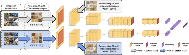 Figure 3 for Improving automatic endoscopic stone recognition using a multi-view fusion approach enhanced with two-step transfer learning
