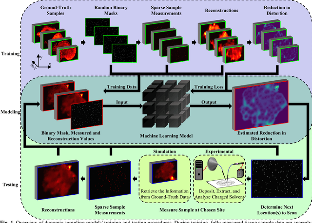 Figure 1 for Deep Learning Approach for Dynamic Sampling for Multichannel Mass Spectrometry Imaging