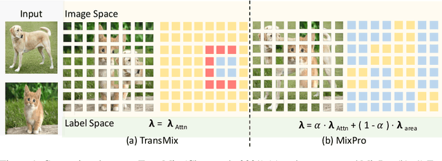 Figure 1 for MixPro: Data Augmentation with MaskMix and Progressive Attention Labeling for Vision Transformer