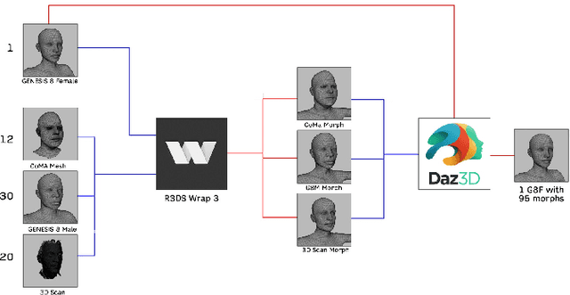 Figure 1 for The Florence 4D Facial Expression Dataset