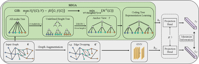 Figure 1 for SEGA: Structural Entropy Guided Anchor View for Graph Contrastive Learning