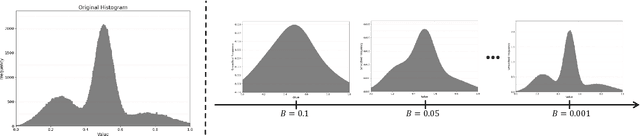 Figure 1 for Affine-Transformation-Invariant Image Classification by Differentiable Arithmetic Distribution Module