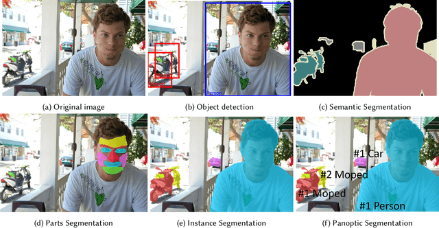 Figure 1 for Few Shot Semantic Segmentation: a review of methodologies and open challenges