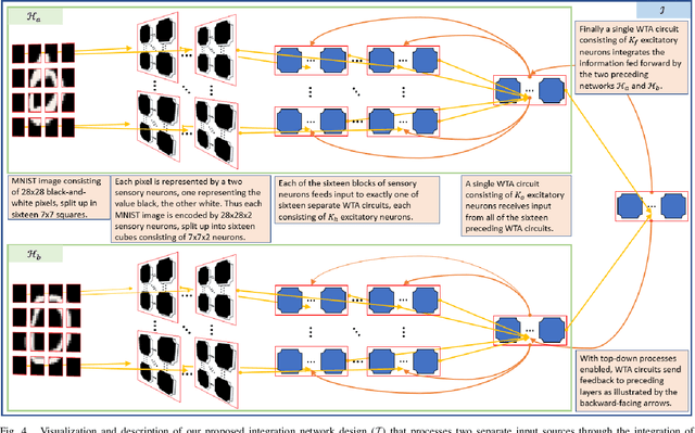 Figure 4 for Bayesian Integration of Information Using Top-Down Modulated WTA Networks