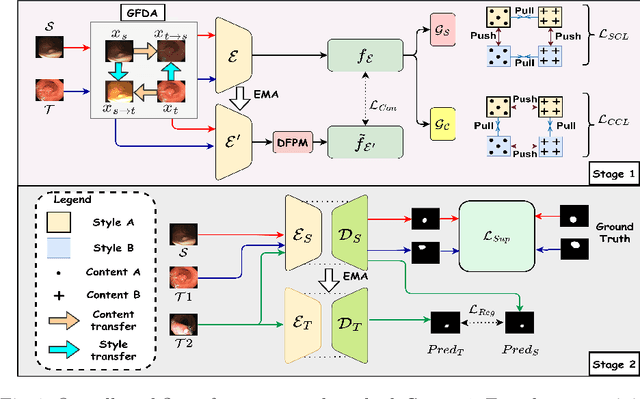 Figure 1 for Semi-supervised Domain Adaptive Medical Image Segmentation through Consistency Regularized Disentangled Contrastive Learning