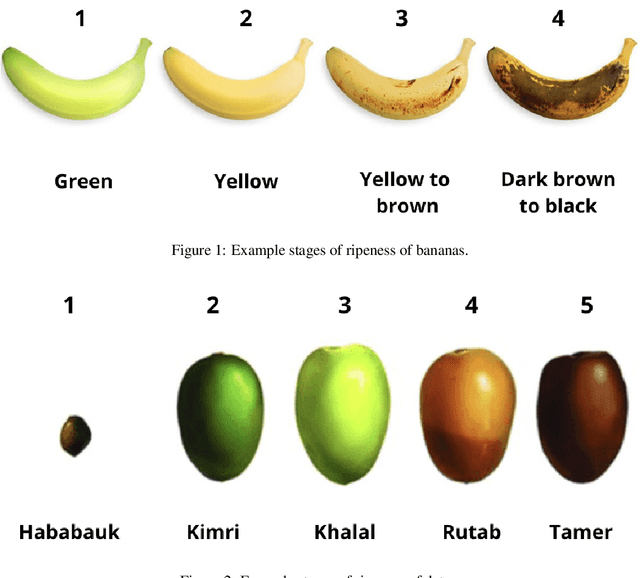 Figure 1 for Fruit Ripeness Classification: a Survey