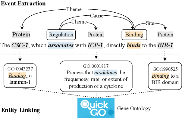 Figure 1 for Iteratively Improving Biomedical Entity Linking and Event Extraction via Hard Expectation-Maximization