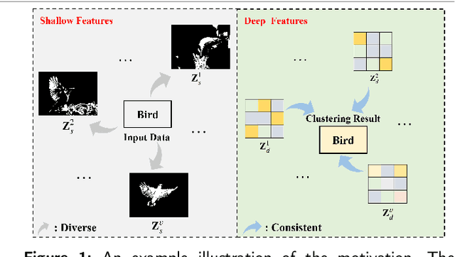 Figure 1 for Asymmetric double-winged multi-view clustering network for exploring Diverse and Consistent Information