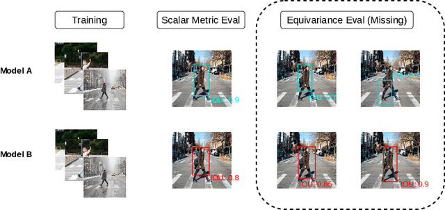 Figure 1 for Evaluating Machine Learning Models with NERO: Non-Equivariance Revealed on Orbits