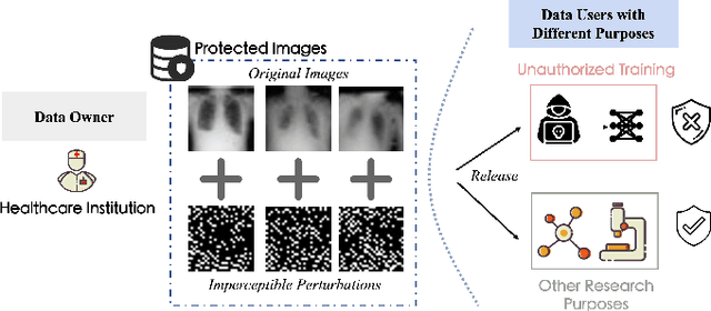 Figure 1 for Securing Biomedical Images from Unauthorized Training with Anti-Learning Perturbation