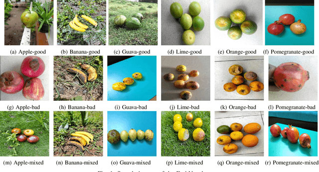 Figure 1 for Fruit Quality Assessment with Densely Connected Convolutional Neural Network