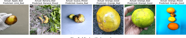 Figure 2 for Fruit Quality Assessment with Densely Connected Convolutional Neural Network