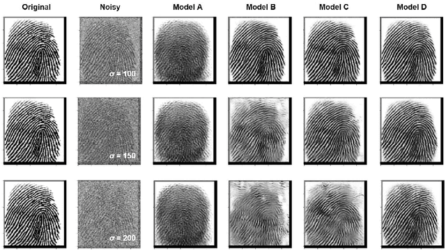 Figure 3 for ResWCAE: Biometric Pattern Image Denoising Using Residual Wavelet-Conditioned Autoencoder