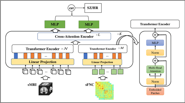 Figure 1 for MultiCrossViT: Multimodal Vision Transformer for Schizophrenia Prediction using Structural MRI and Functional Network Connectivity Data