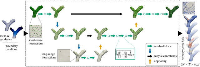 Figure 4 for Mesh Neural Networks for SE(3)-Equivariant Hemodynamics Estimation on the Artery Wall