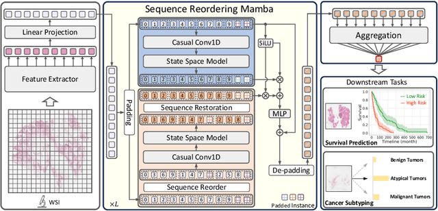 Figure 1 for MambaMIL: Enhancing Long Sequence Modeling with Sequence Reordering in Computational Pathology