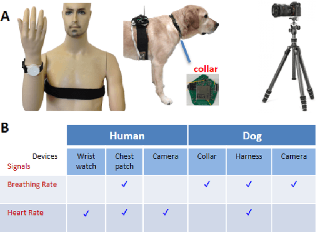 Figure 1 for Contact-Free Simultaneous Sensing of Human Heart Rate and Canine Breathing Rate for Animal Assisted Interactions